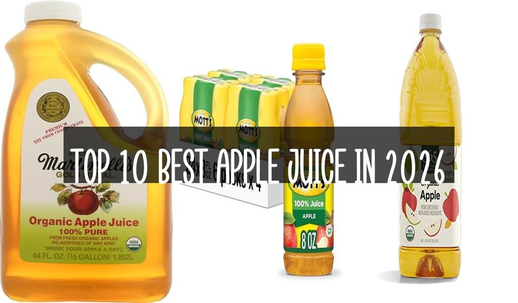 Top 10 Best Apple Juice in 2026